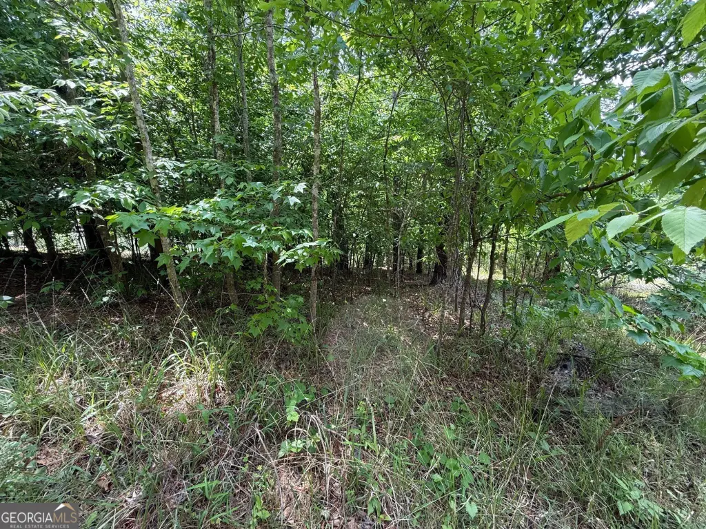 Picture 8