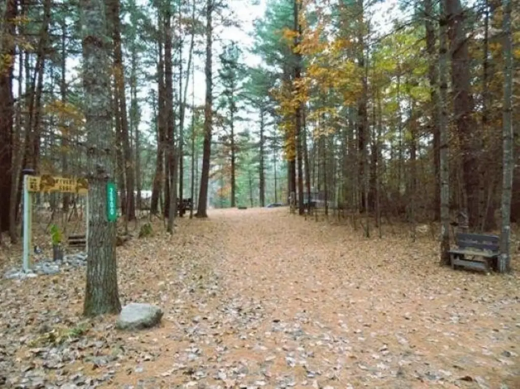 Picture 23