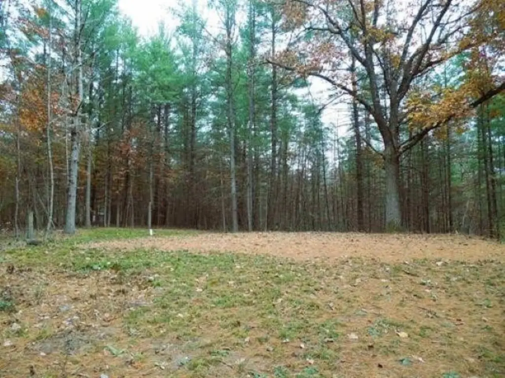 Picture 15