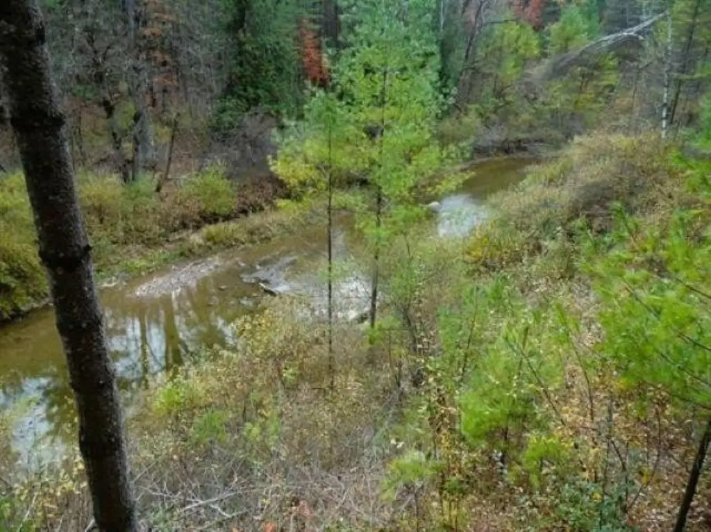 Picture 33