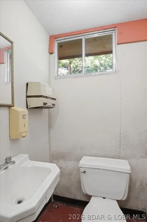 Picture 15