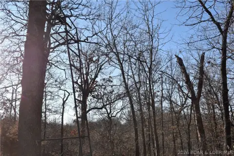 Ozarks Retreat: 35 Acres Land