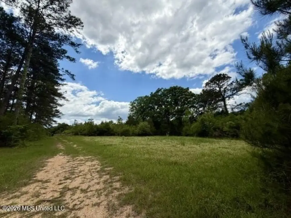 Picture 22