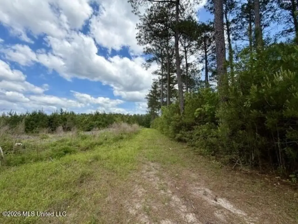 Picture 23