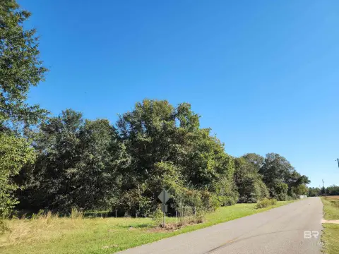 Unrestricted Wooded Acreage Near Atmore
