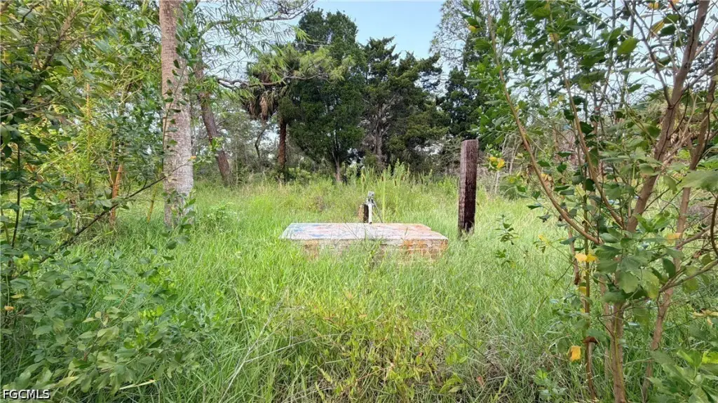 Picture 6