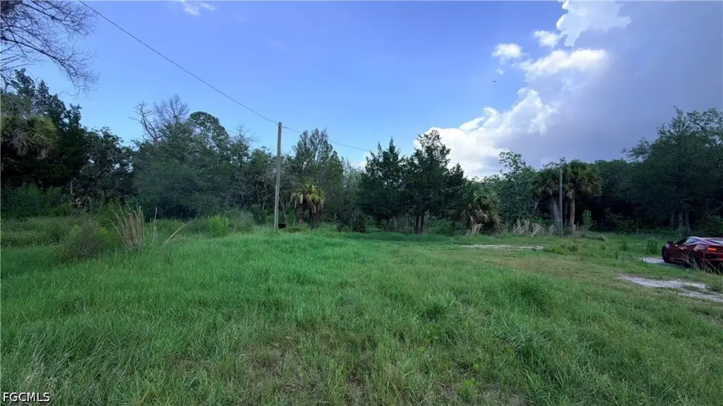 Picture 13