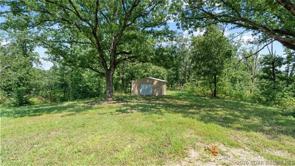 Picture 25
