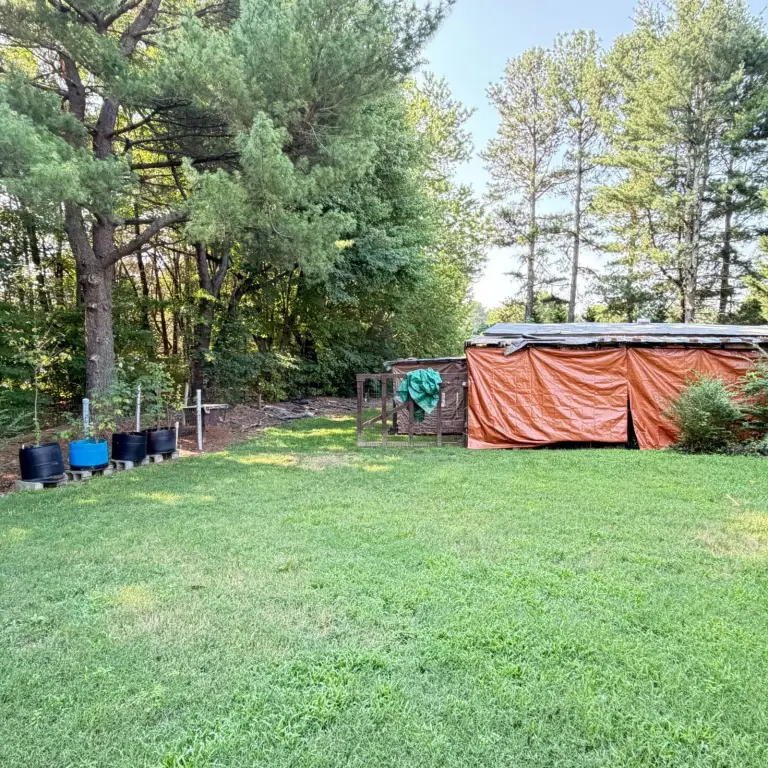 Picture 15