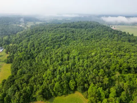 Recreational Hunting Land with Cabin Site