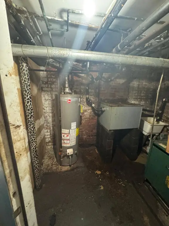 Picture 5