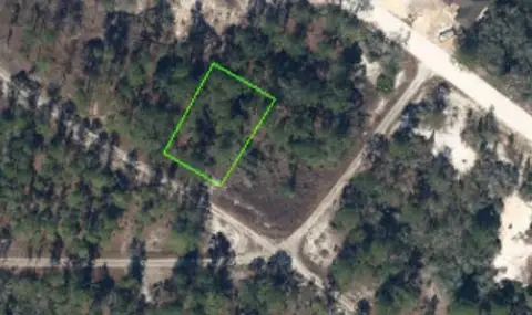 Affordable Vacant Lot in Florida