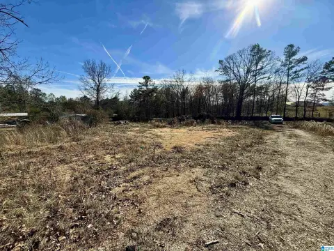 Residential Lot in Alpine, AL