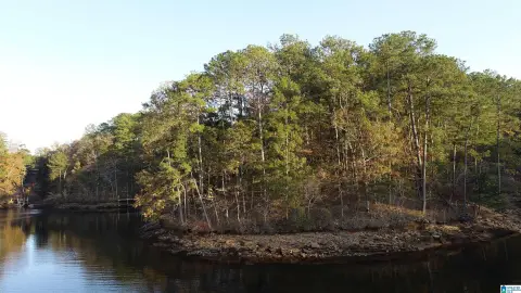 Lake Wedowee Point Lot
