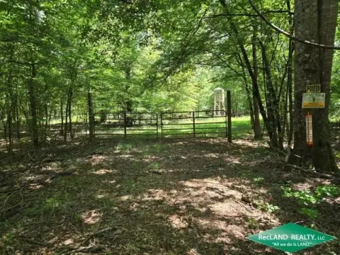 80 Acres Hunting Land in Marion
