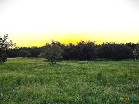Live Oak Covered Land