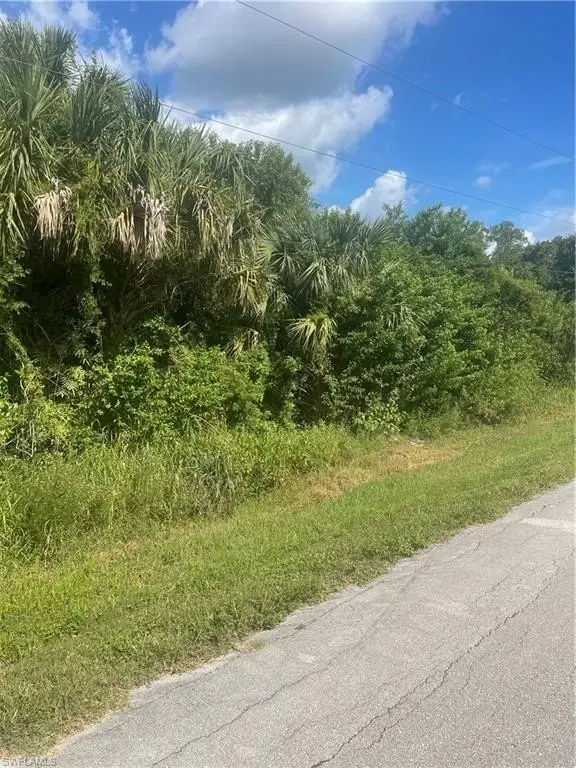 Picture 2