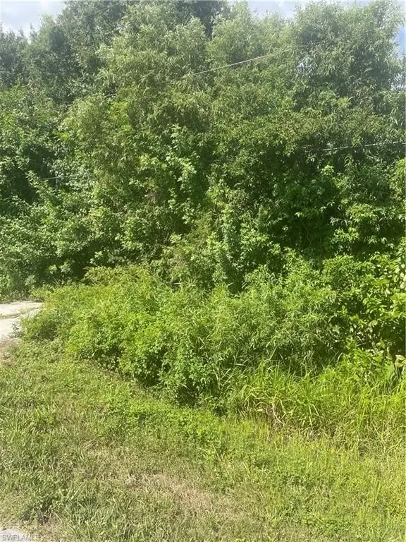 Picture 3