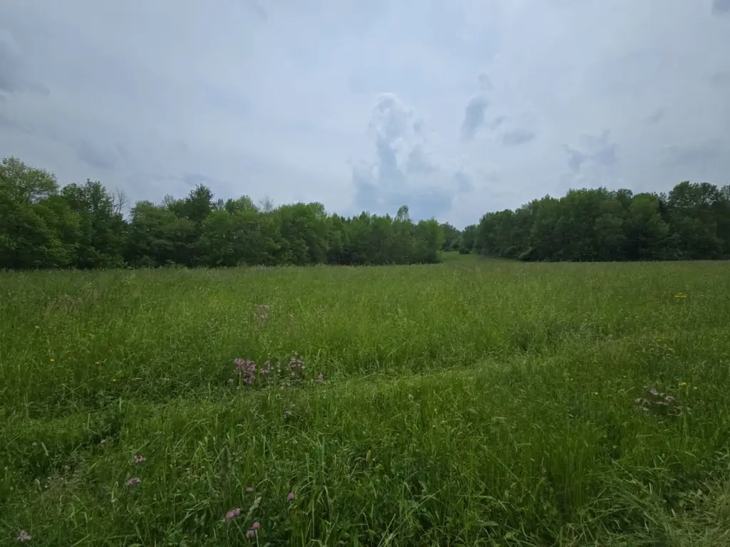Picture 5