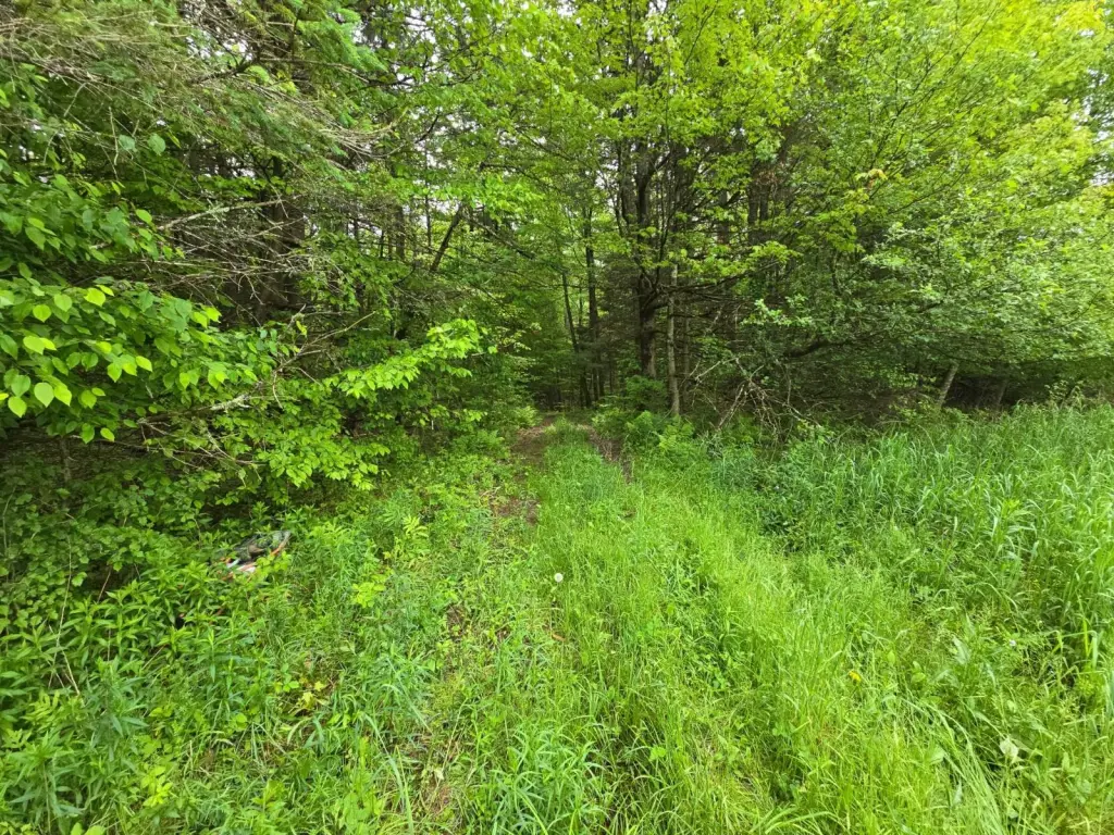 Picture 14