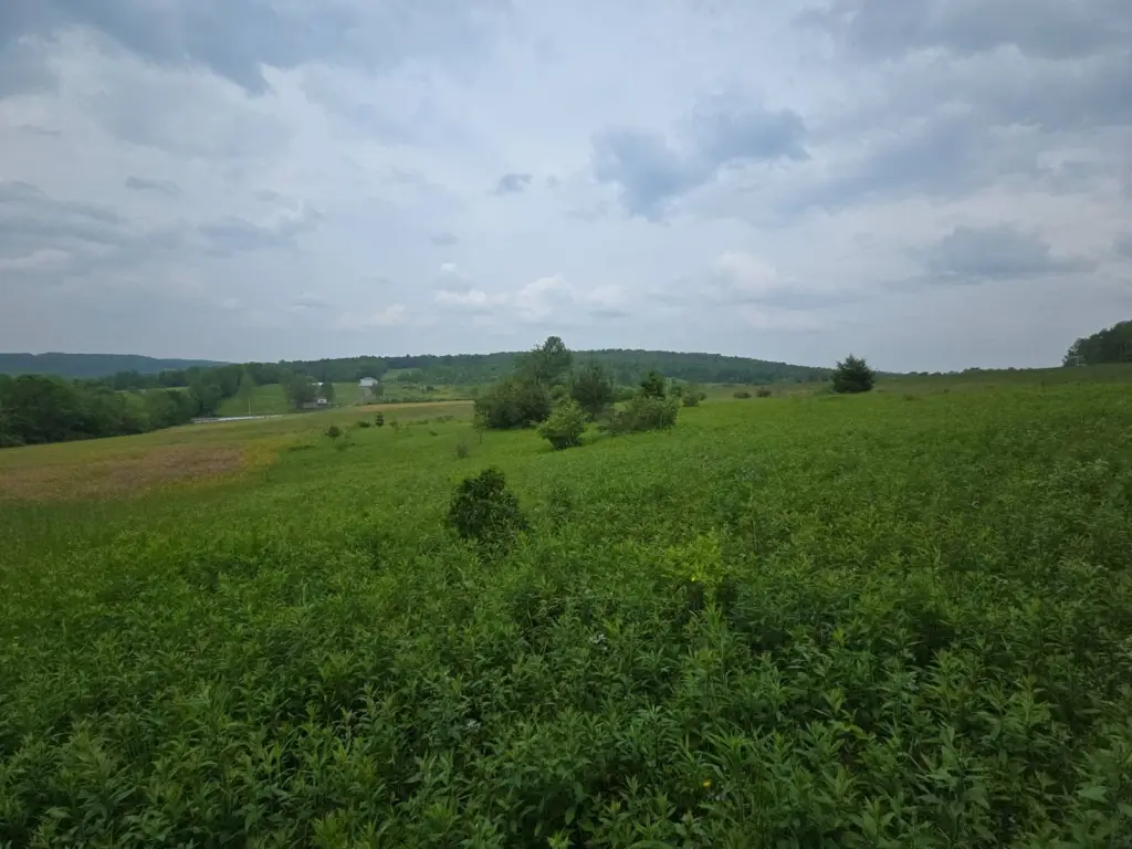 Picture 69