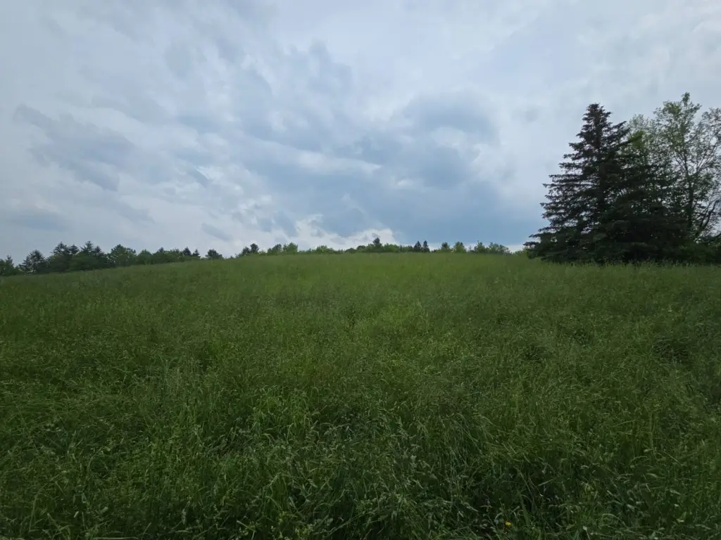 Picture 48