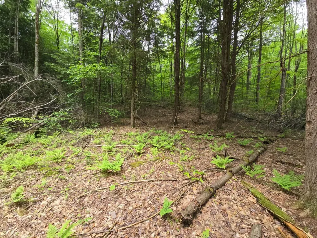 Picture 33