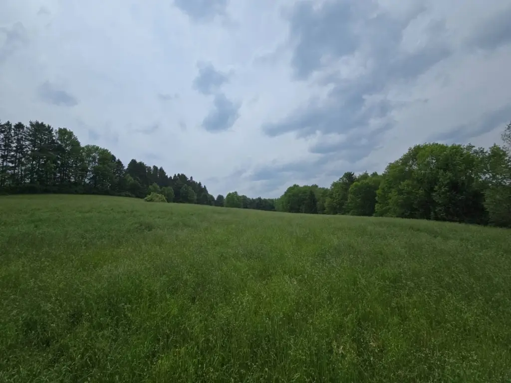 Picture 10