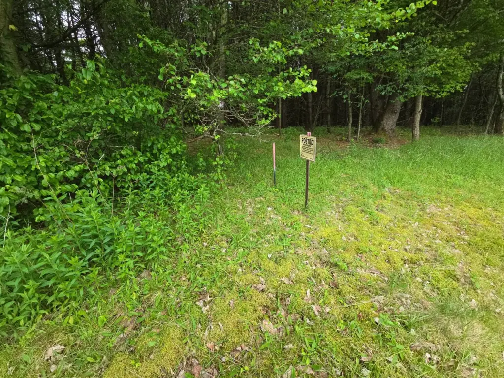 Picture 68