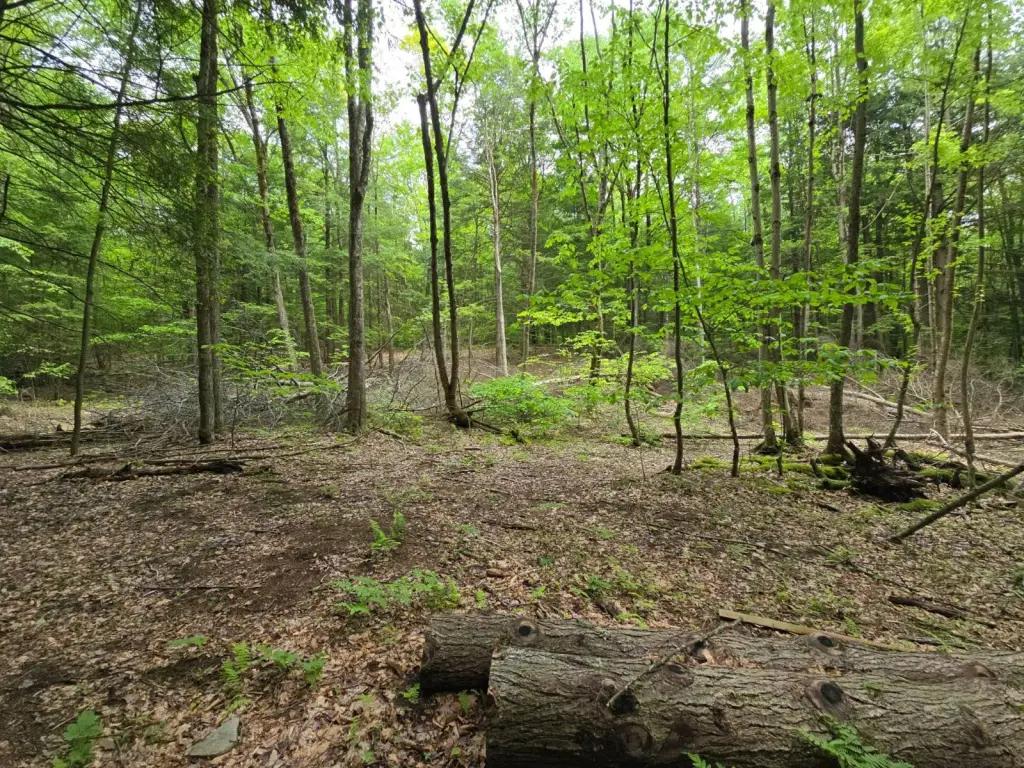 Picture 16
