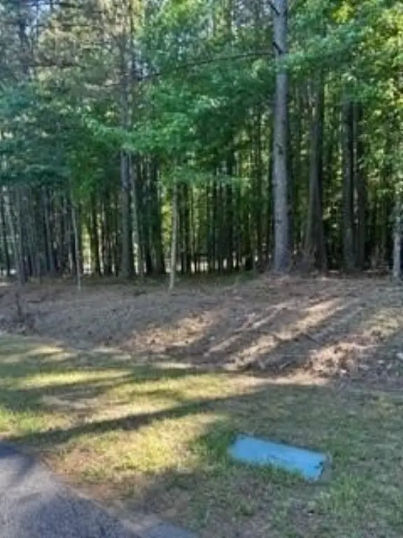 Picture 17