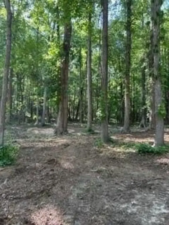 Picture 12