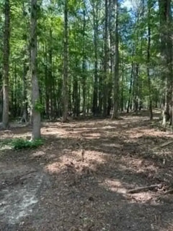 Picture 13