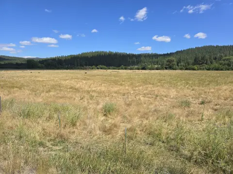 21 Acres East of Colville