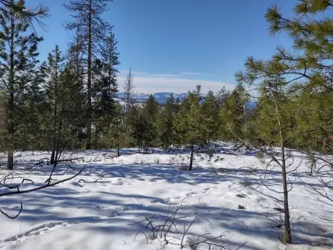 FRUITLAND, WA Treed Acreage