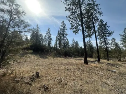 Accessible Acreage Near Highway