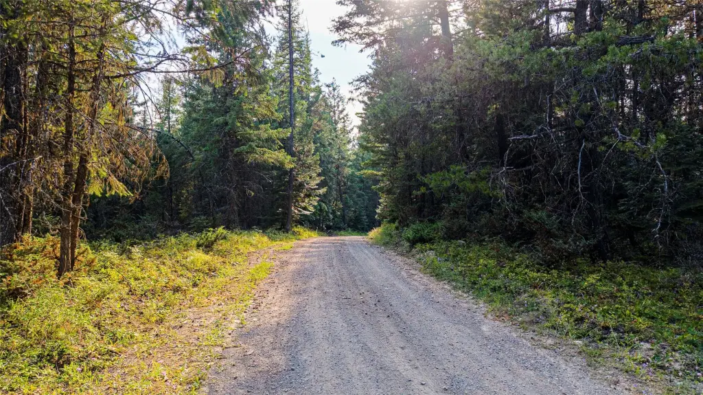 Picture 15