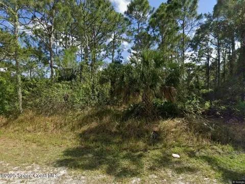 Wooded Lot in Palm Bay