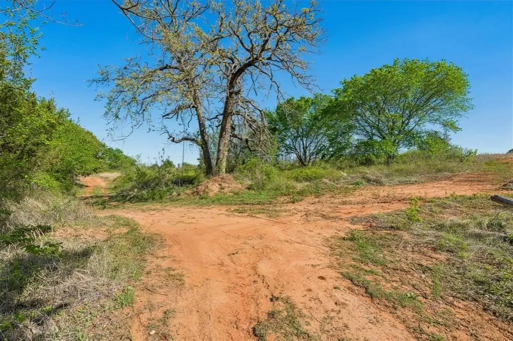 Picture 28