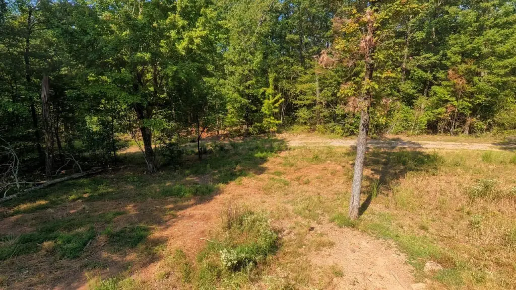 Picture 16