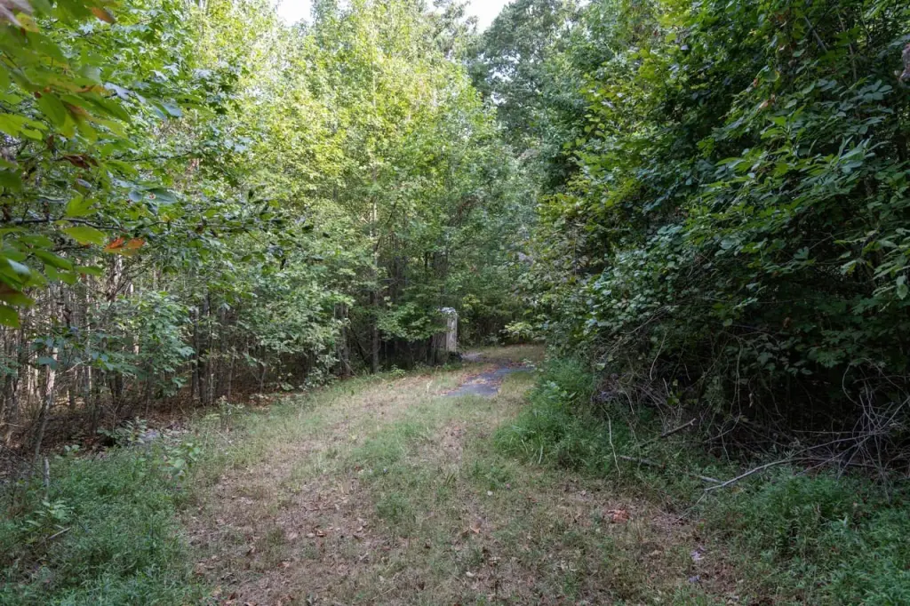 Picture 38