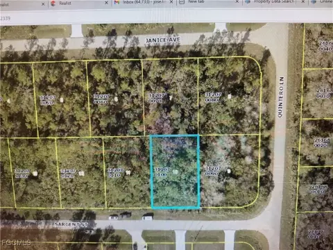 Vacant Lot in Lehigh Acres