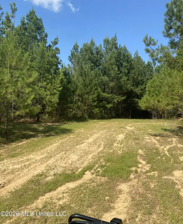 Picture 9