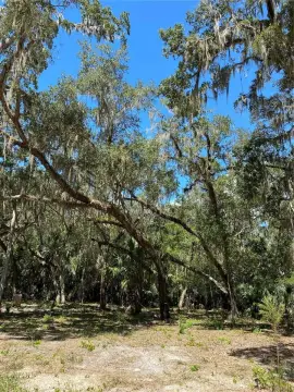 Crystal River Build-Ready Land