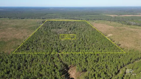 Recreational Land in Baldwin County