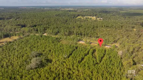 Robertsdale Land with Owner Financing