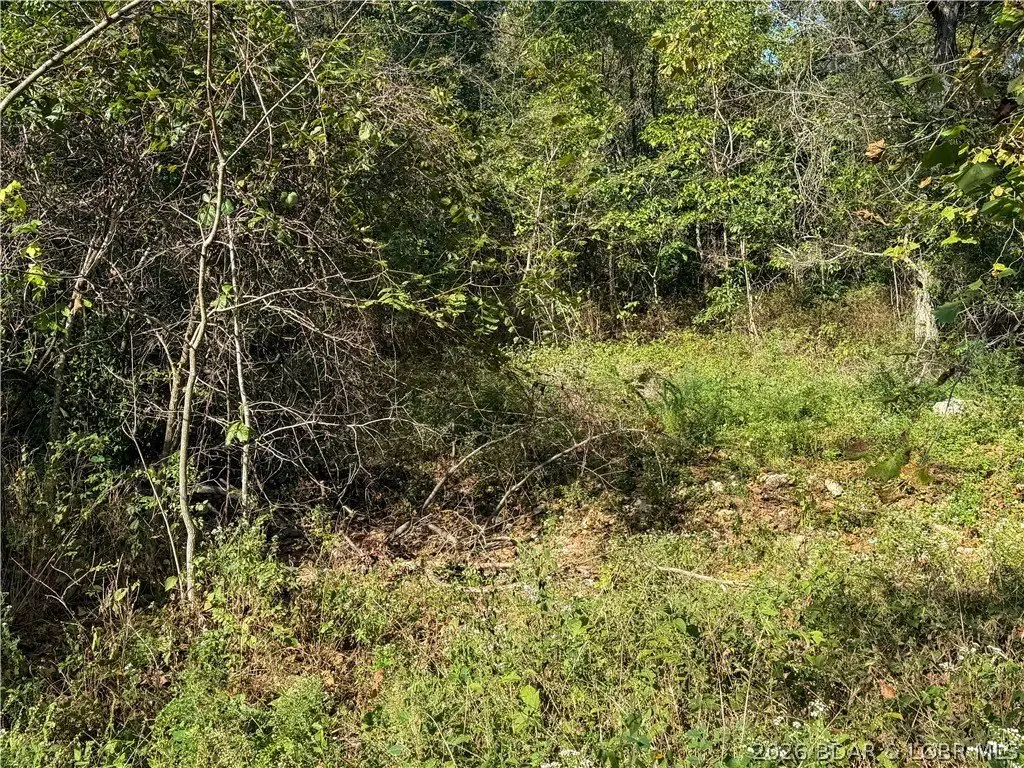 Picture 6