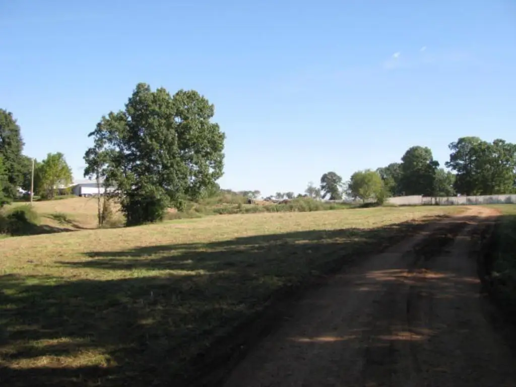 Picture 19