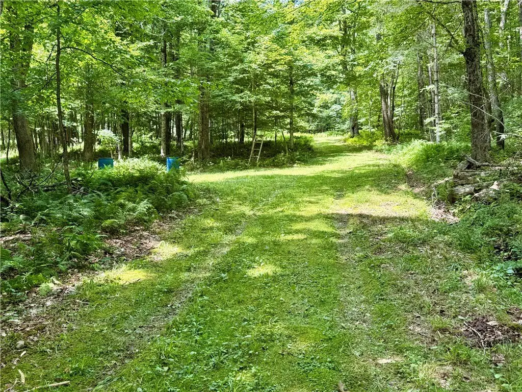 Picture 29