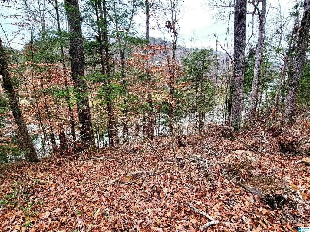 Picture 8
